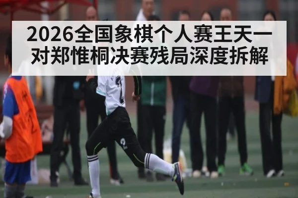 2026全国象棋个人赛王天一对郑惟桐决赛残局深度拆解